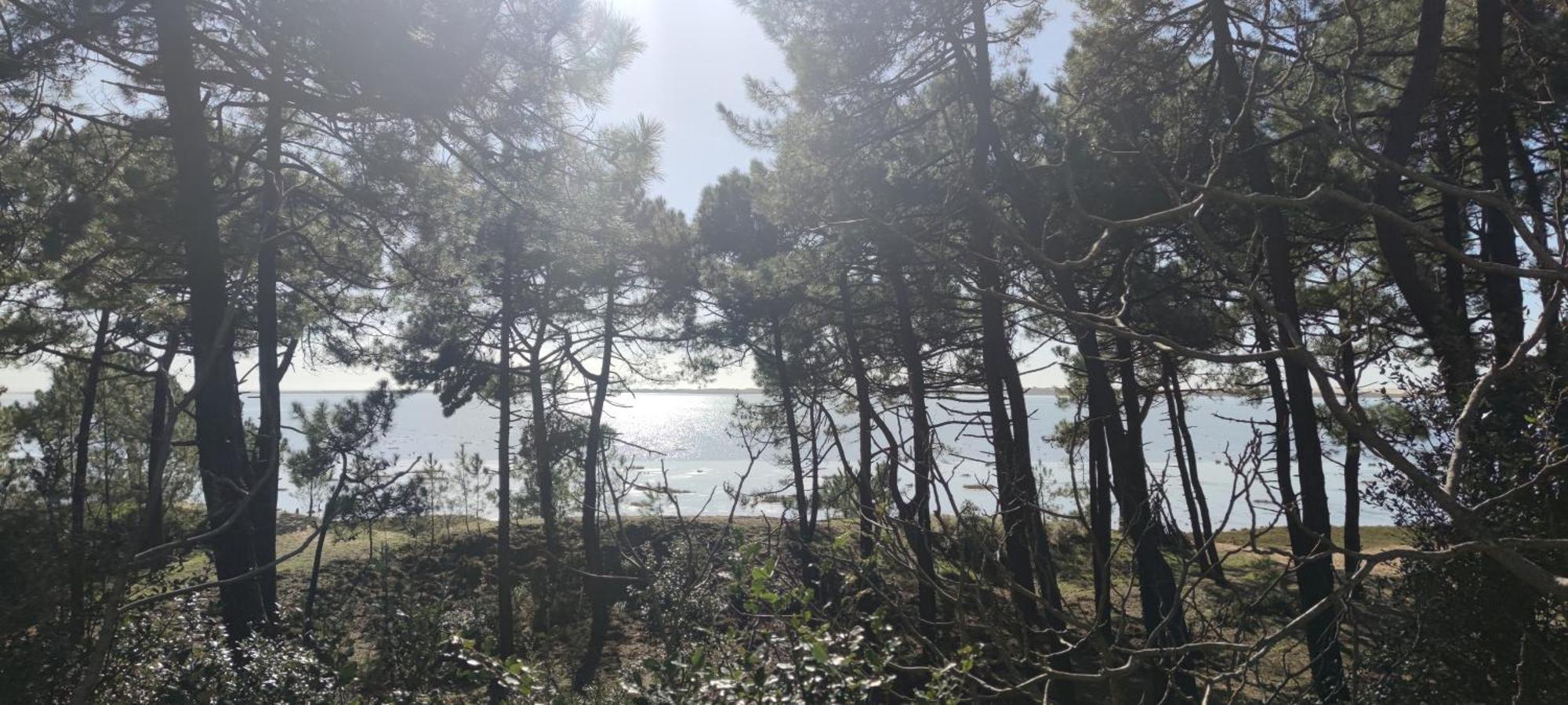 Mobil-Home - Camping Siblu Bonne Anse Plage レ・マトゥ エクステリア 写真